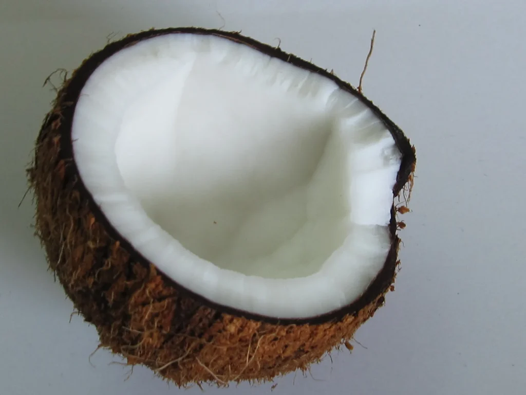 نارگیل تازه